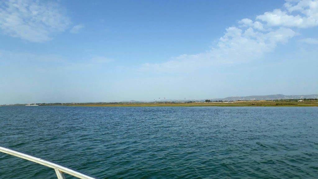 Parque Natural da Ria Formosa