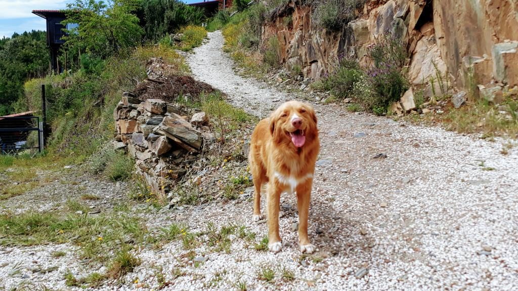 Vale de Moses: Yoga Retreat in the Mountains of Portugal