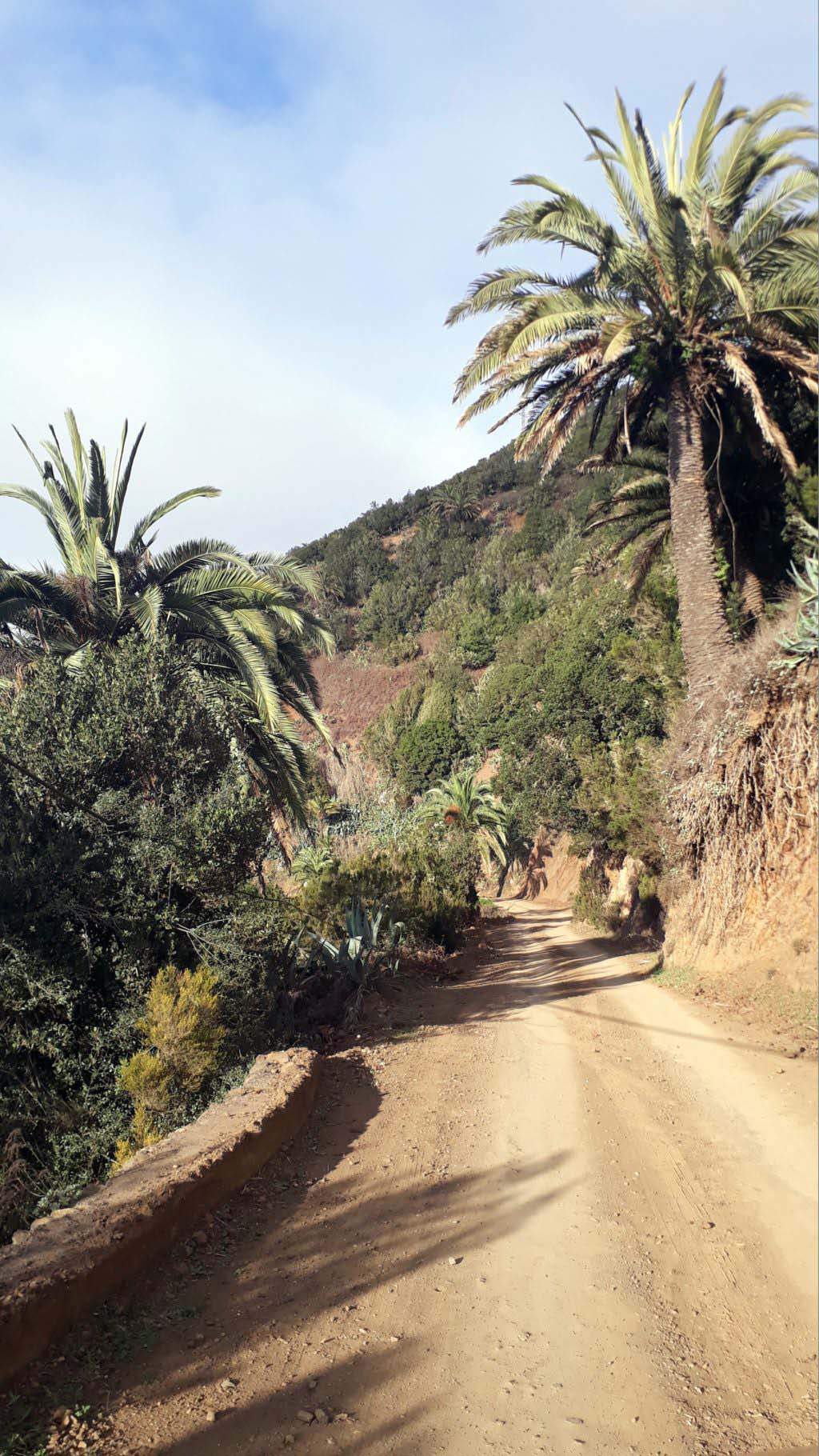 Gravel path to Los Órganos National Park