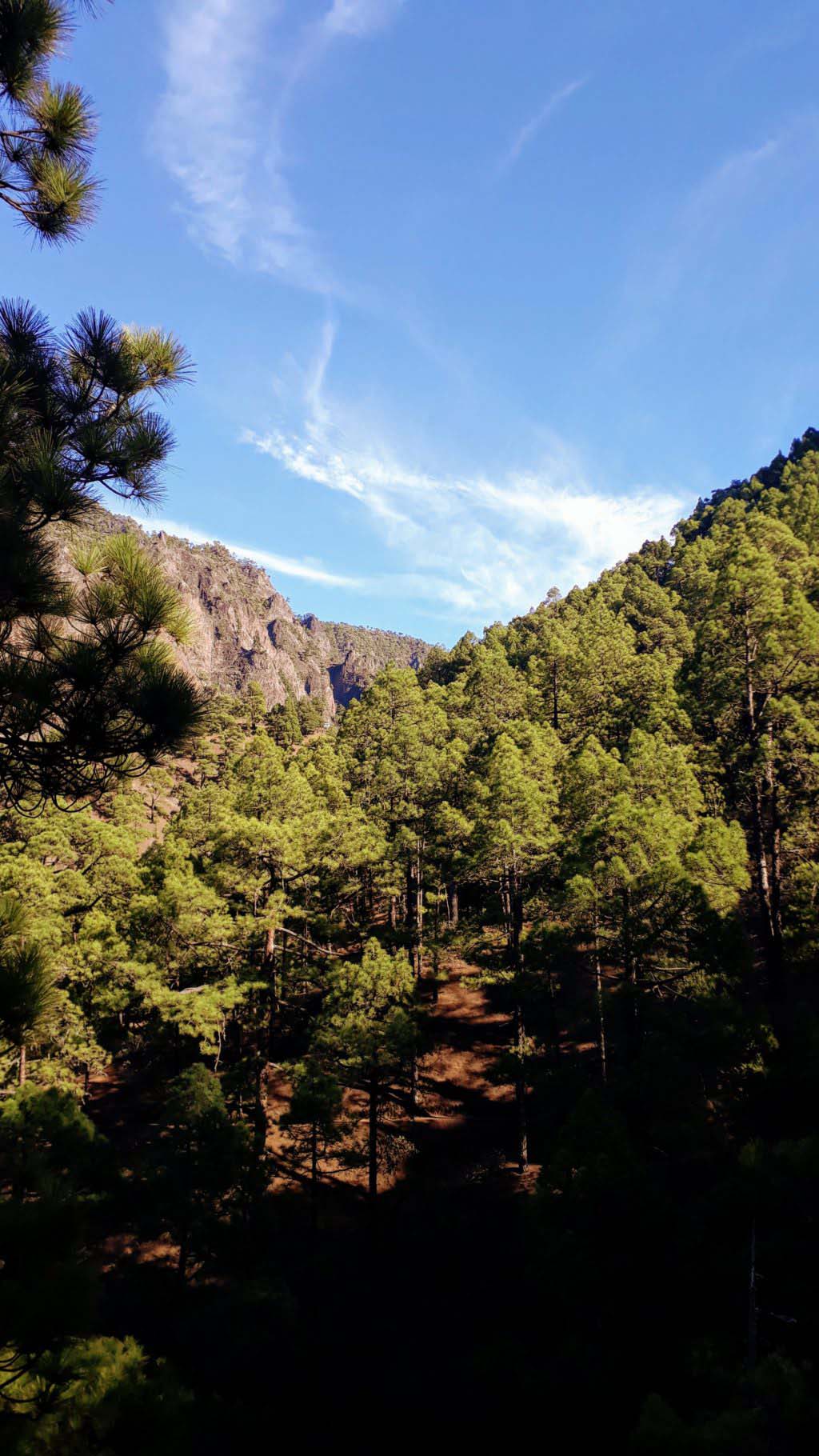 Caldera de Taburiente National Park