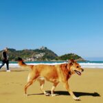 San Sebastián: Sehenswürdigkeiten und Hundestrand