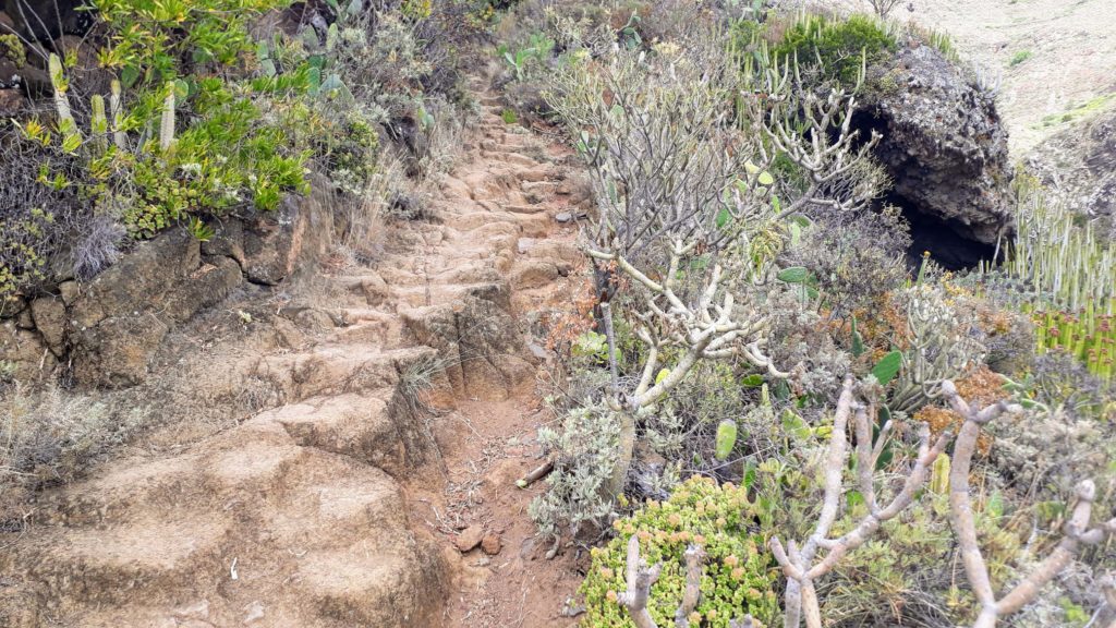 Wanderweg Chinamada – Punta del Hidalgo