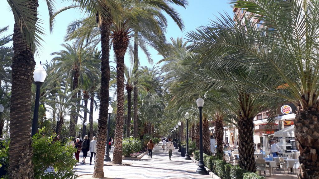 Die Explanada de España: Alicantes bekannte Hafenpromenade