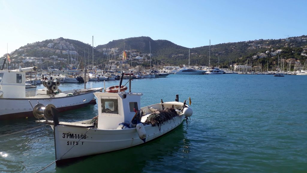 Hafenbecken von Port d’Andratx auf Mallorca