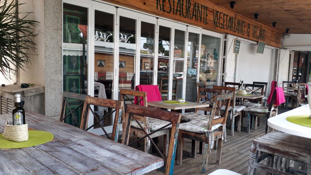 The Green Box, vegetarisches Restaurant in Cala Ratjada, Mallorca