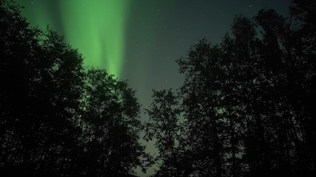 Polarlichter in Norwegen Mitte September in der Nähe von Trondheim