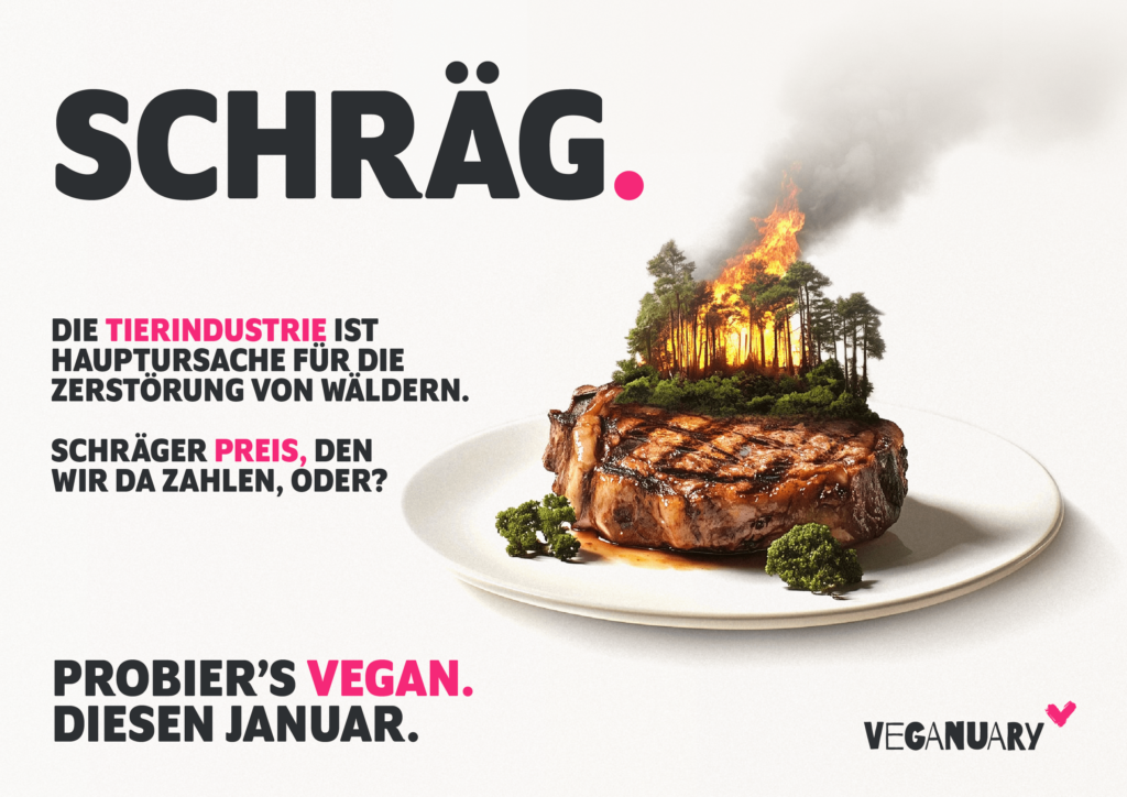 Veganuary 2025 Neue Produkte, Aktionen und mehr The Vegan Travelers