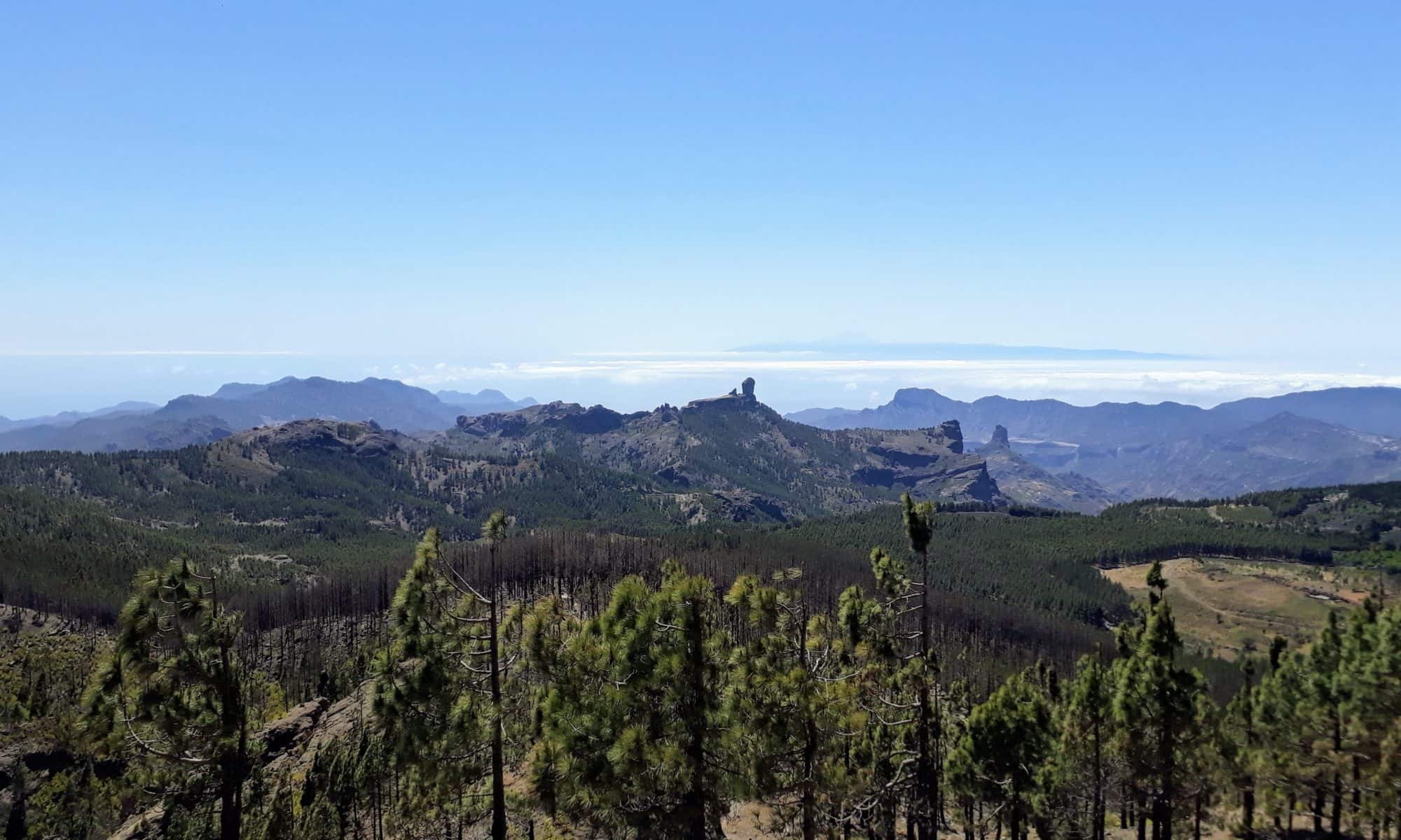 Urlaub auf Gran Canaria: Wo ist es am schönsten? [+Karte]