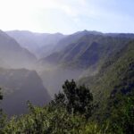 Vegan auf La Palma: Restaurants und Sehenswürdigkeiten
