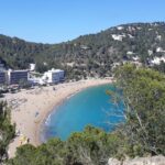 Vegane Hotels auf Mallorca: 6 Alternativen zur Villa Vegana