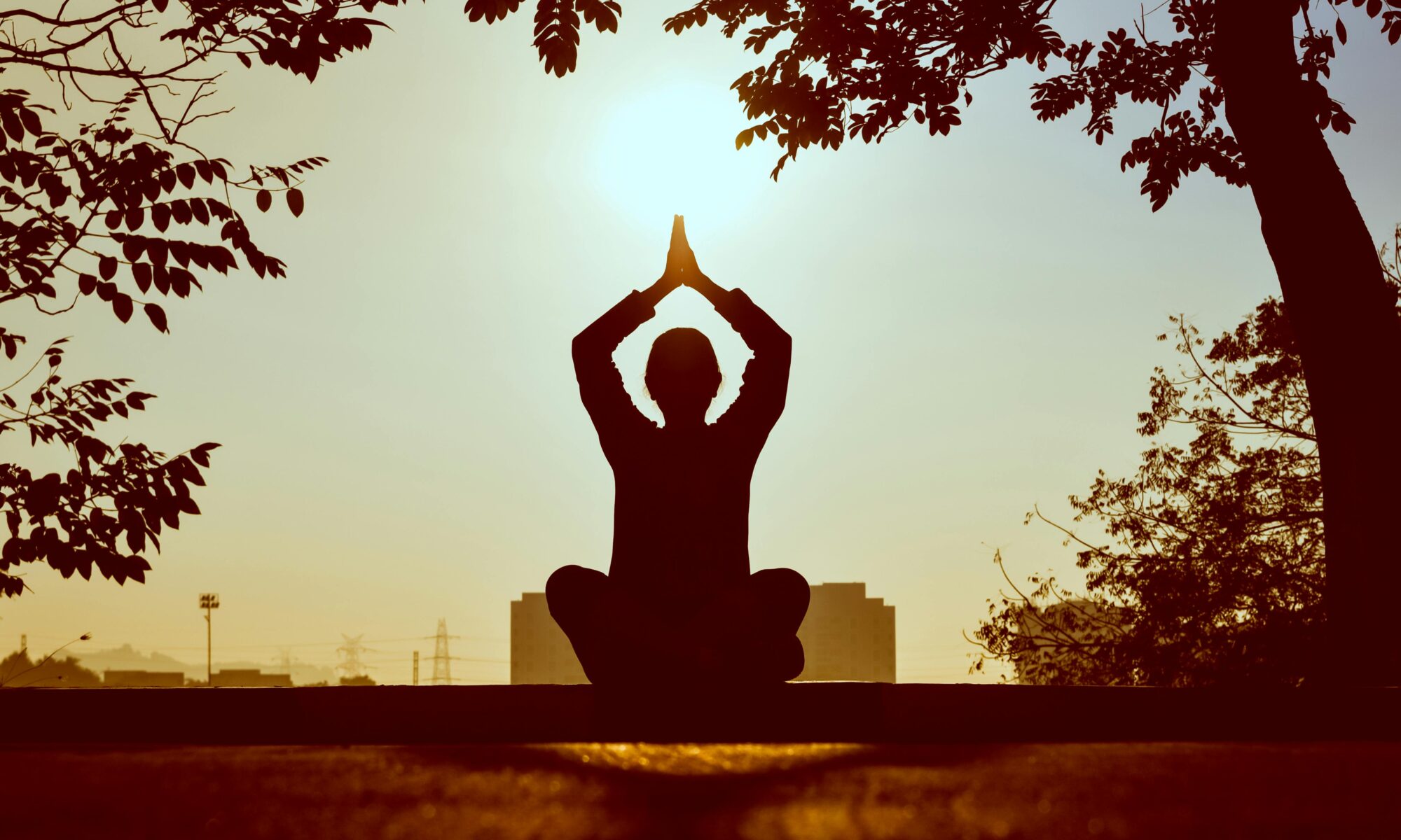 Yoga Teacher Training: Was du vorher wissen solltest