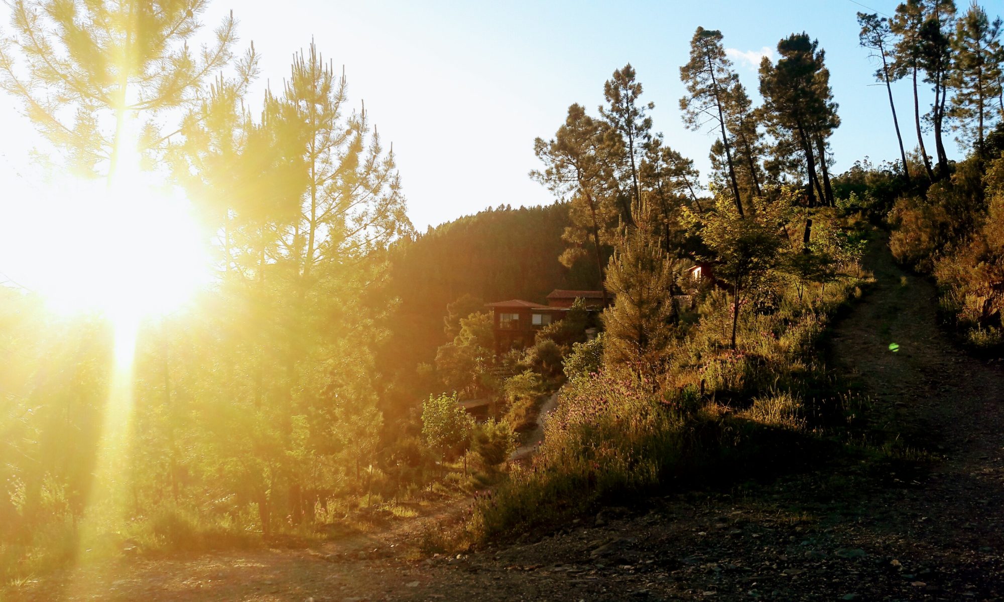 Vale de Moses: Yoga Retreat in the Mountains of Portugal