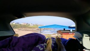 What could be better than to wake up to this?