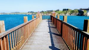 "selfie footbridge"