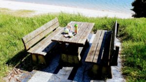 Let's picnic!