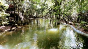 Lago do Bom Jesus