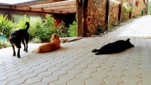 Vale de Moses: Yoga Retreat in the Mountains of Portugal