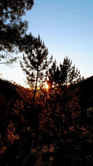 Vale de Moses: Yoga Retreat in the Mountains of Portugal