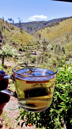 Vale de Moses: Yoga Retreat in the Mountains of Portugal