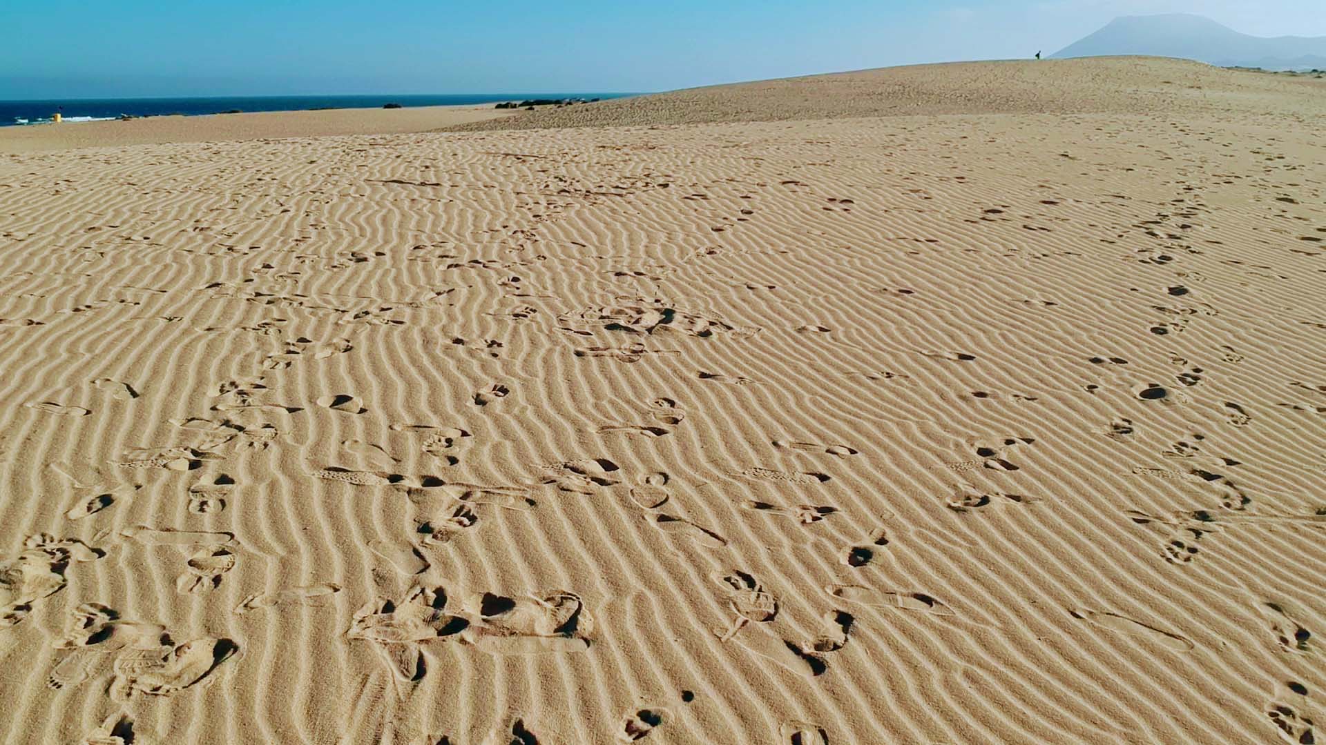 Fuerteventura: Endless Sand Dunes
