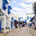 Sidi Bou Saïd: Blue-White Pearl on the Mediterranean