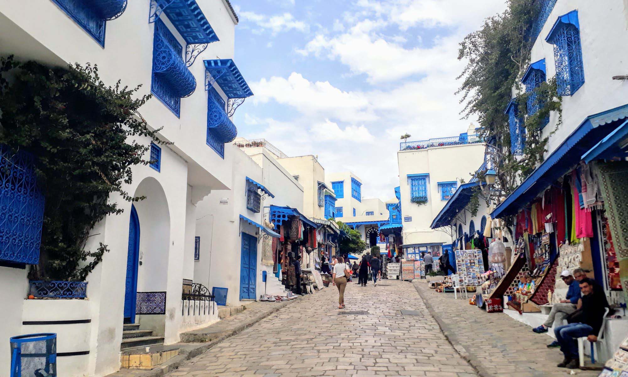 Sidi Bou Saïd: Blue-White Pearl on the Mediterranean