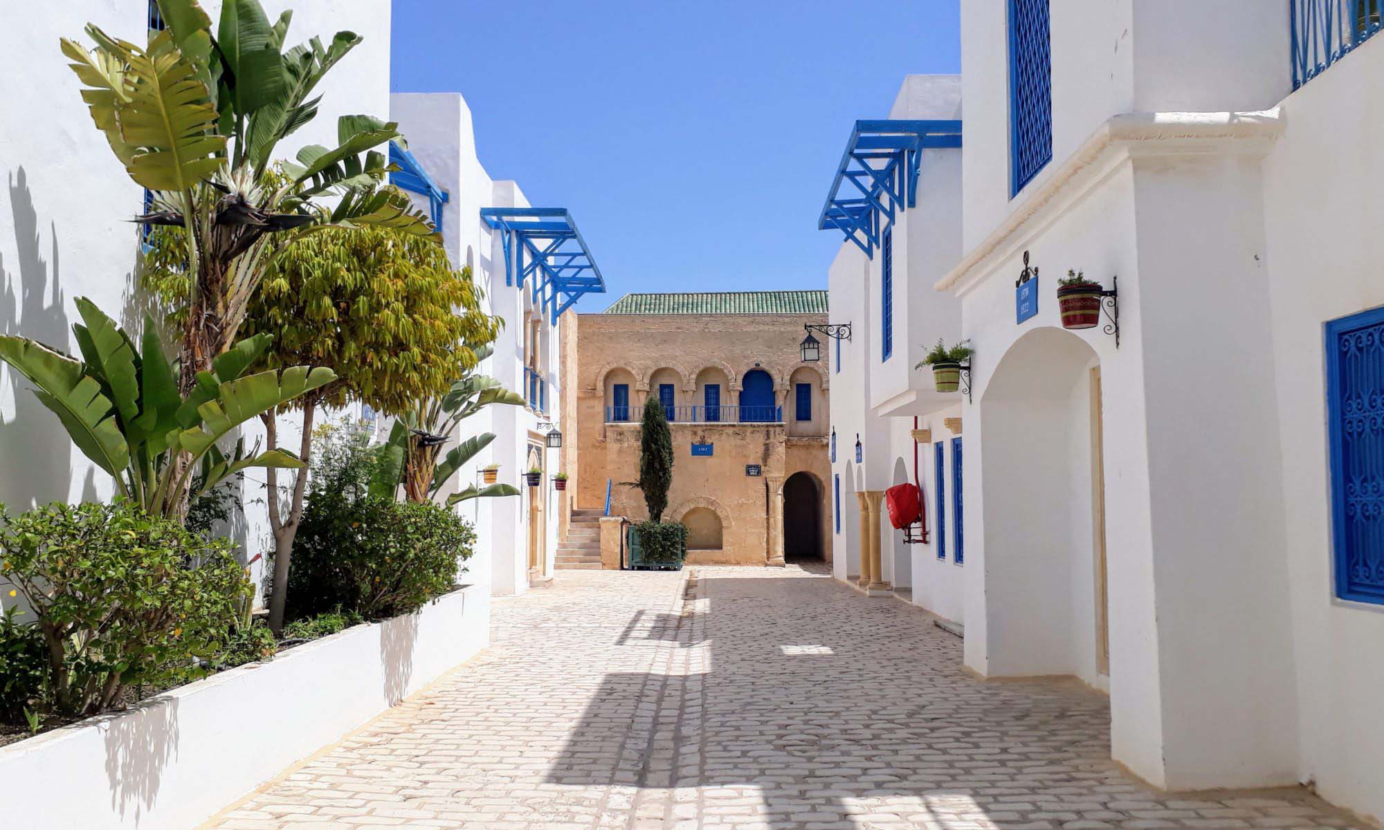 yasmine hammamet excursions