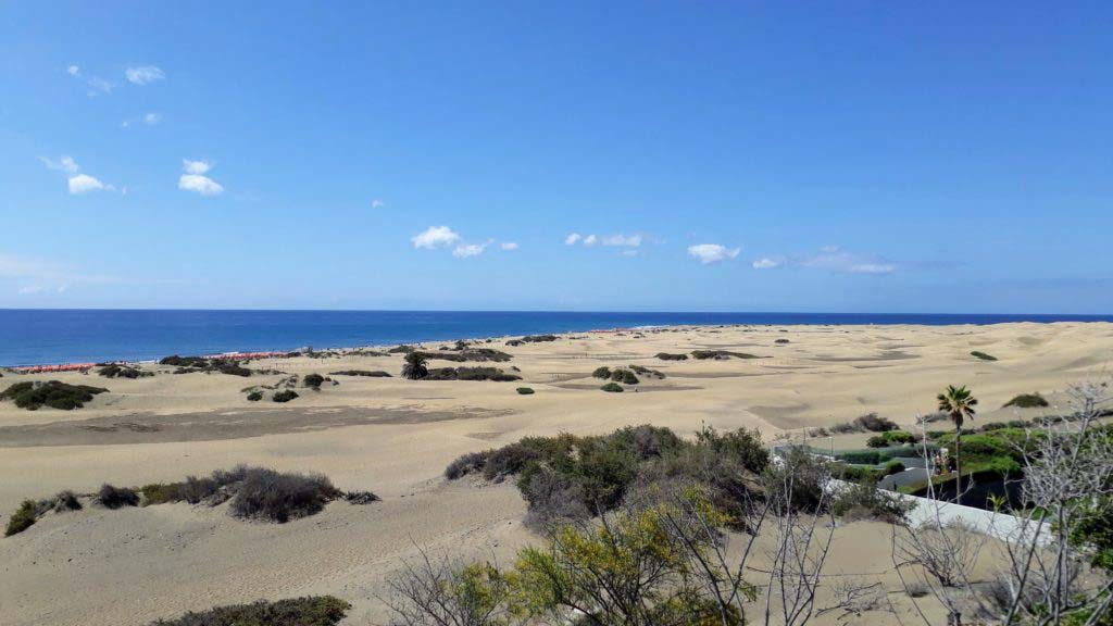View over the Dunes of Maspalomas to the Atlantic