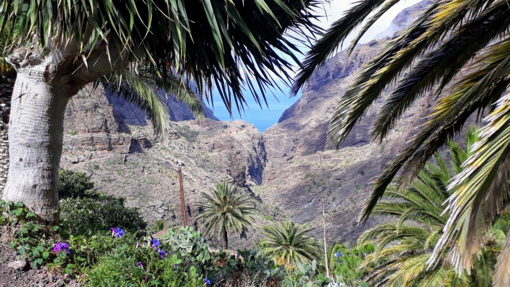 The most famous canyon in Tenerife: Masca Gorge in the Teno Mountains