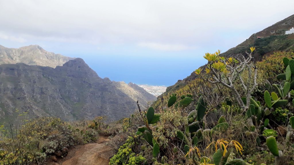 Beginning of the trail from Chinamada to Punta del Hidalgo