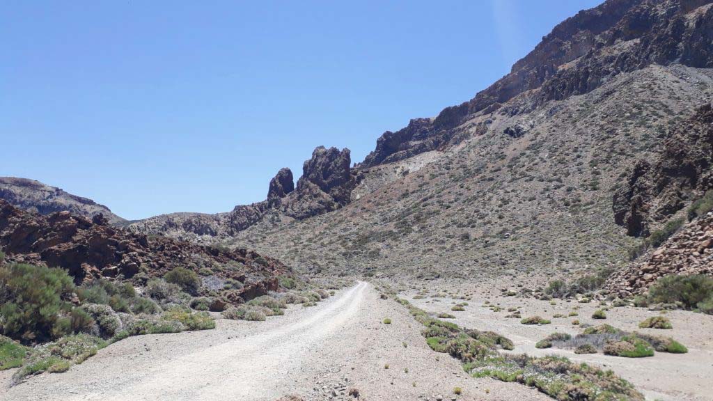Sendero 4 (Siete Cañadas) takes you back to the Cañada Blanca visitor center