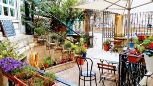 Kafe Botanika
