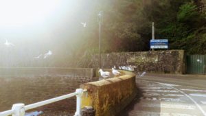 Cudillero