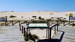Duna de Corrubedo