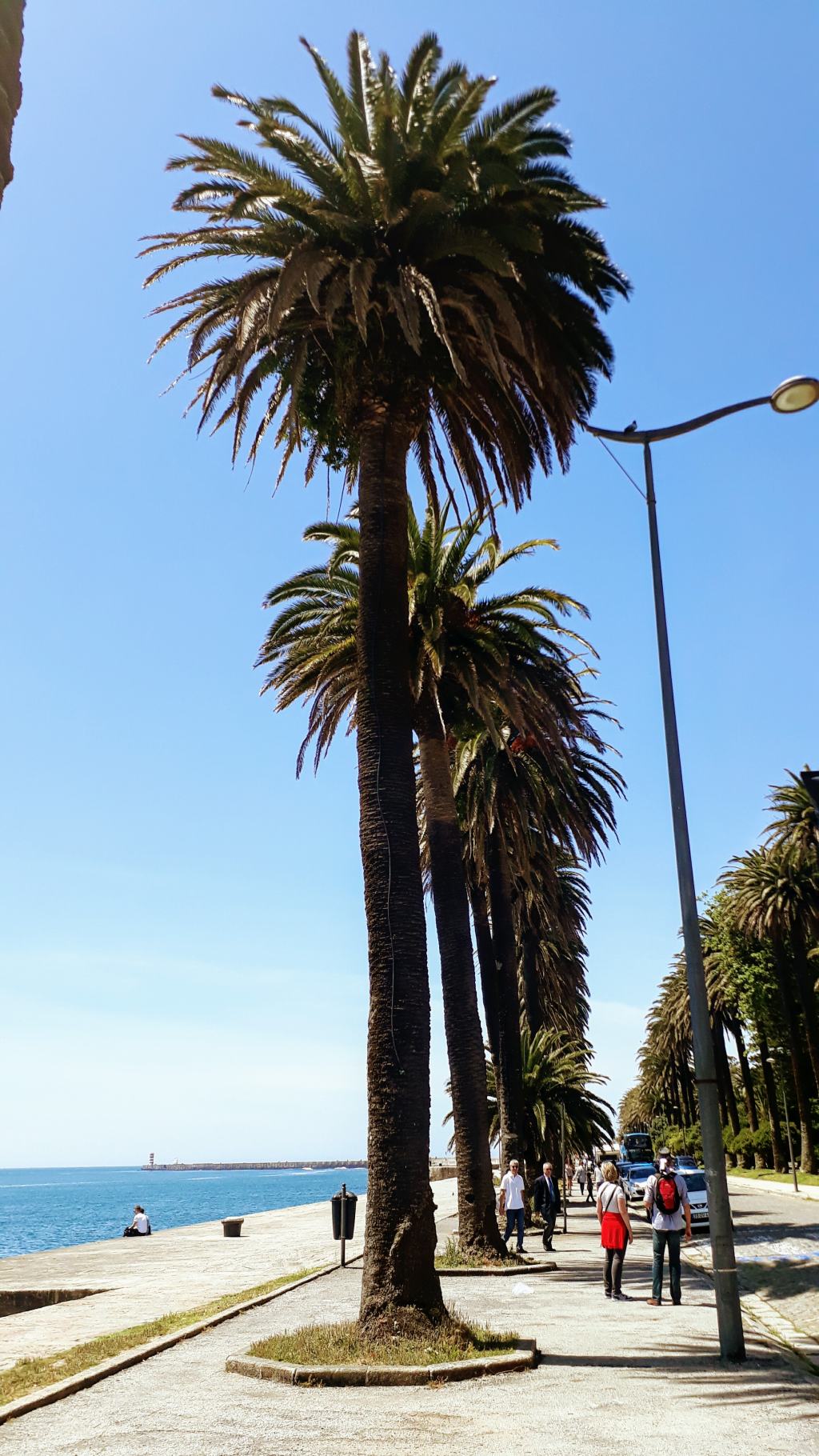 Jardim do Passeio Alegre