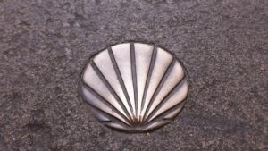 La concha - el símbolo del Camino de Santiago