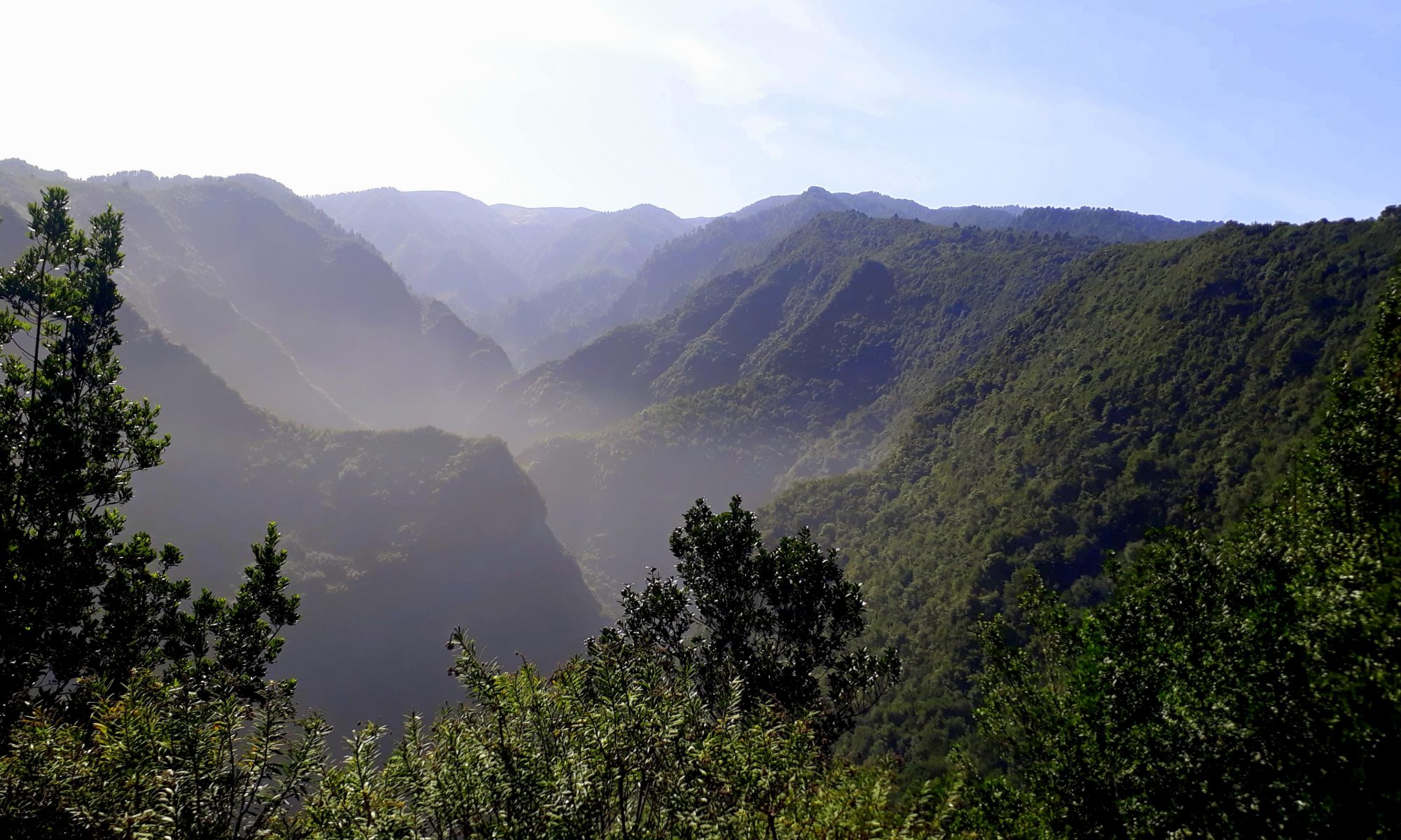 La Palma: La Isla Bonita