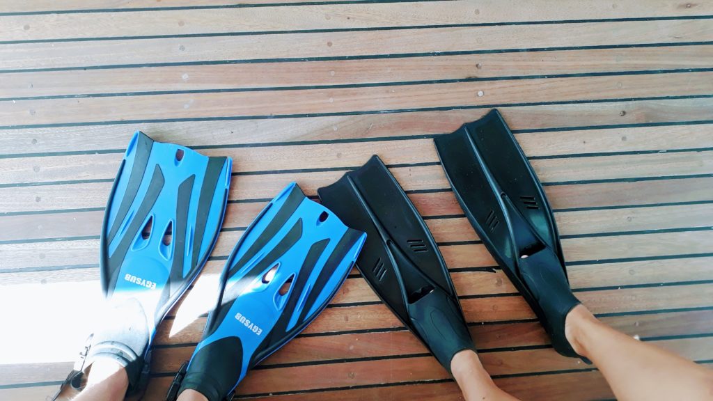 Viaje de Snorkel a las Islas Giftun