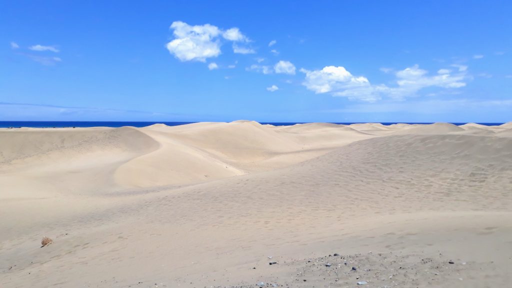 Dunas de Maspalomas en el sur de Gran Canaria