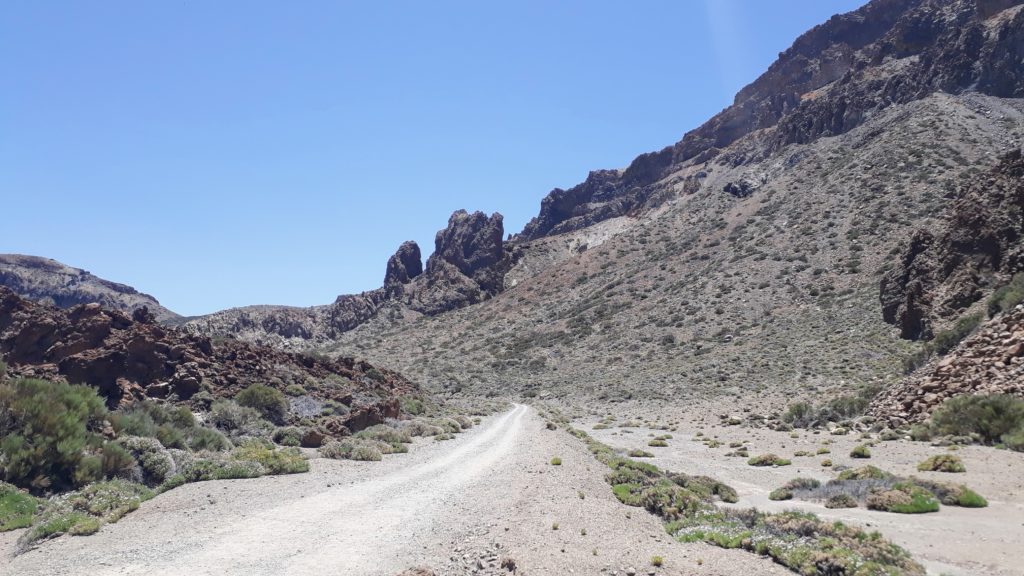 Sendero 4 (Siete Cañadas) te lleva de regreso al centro de visitantes de Cañada Blanca