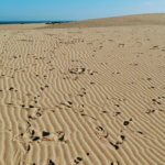 Fuerteventura: Dunas de Arena Infinitas